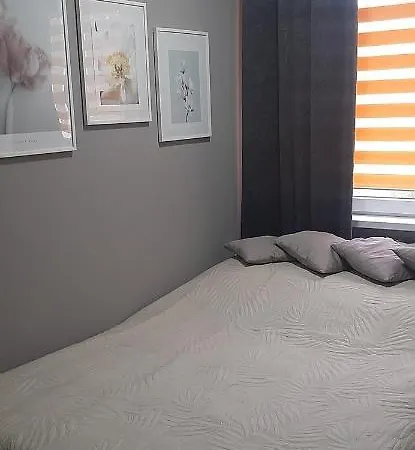 Appartement Flowers Piła