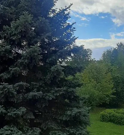 Flowers Διαμέρισμα Piła