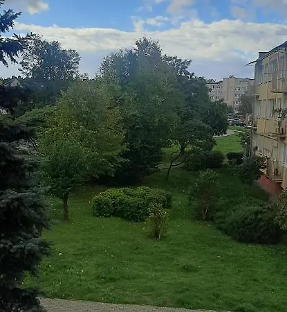 Flowers Διαμέρισμα