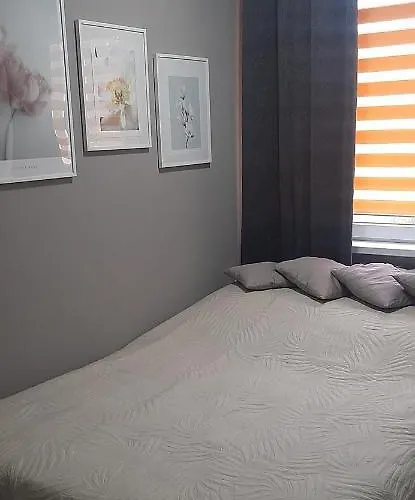 דירה Flowers פילה