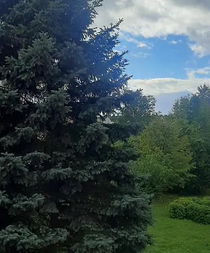 Flowers דירה פילה